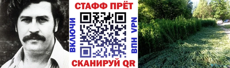 Магазин наркотиков Гаджиево КОКАИН  Псилоцибиновые грибы  ГАШ  Мефедрон  APVP 