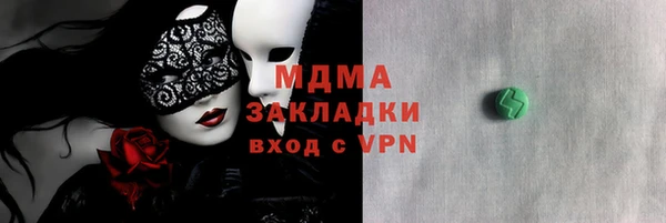 шишки Инта
