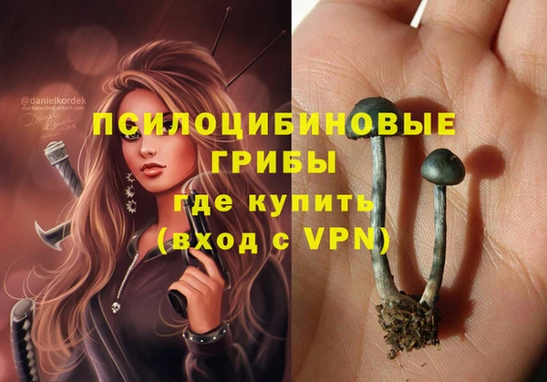 метамфетамин Алексеевка