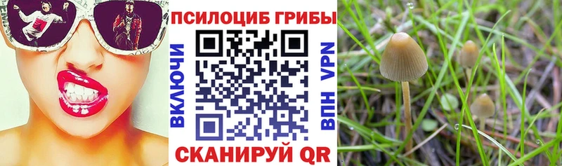 Галлюциногенные грибы мухоморы  гидра рабочий сайт  Гаджиево 